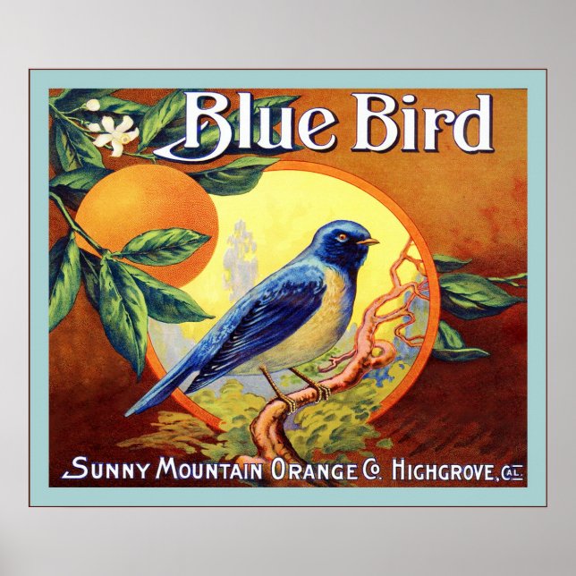 Vintage Fruit Crate Label Poster (Front)