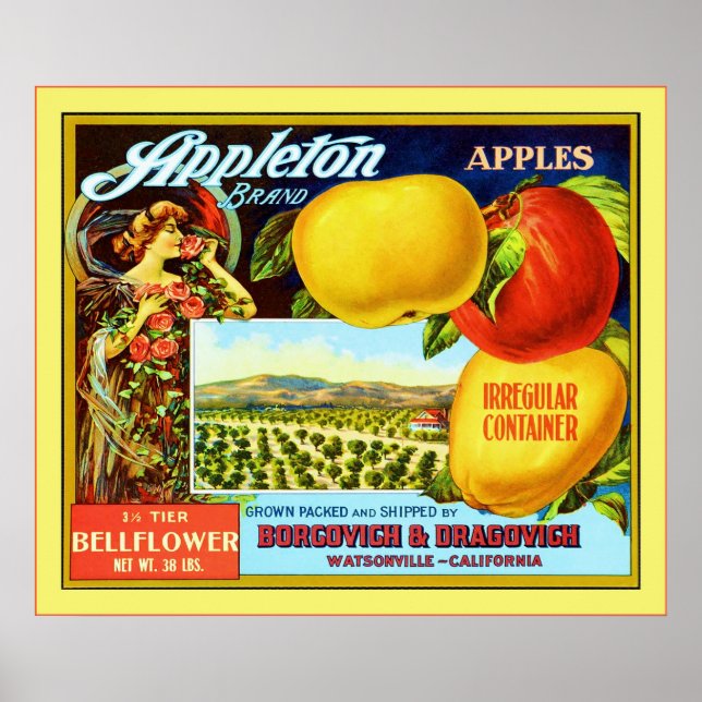 Vintage Fruit Crate Lable Poster (Front)