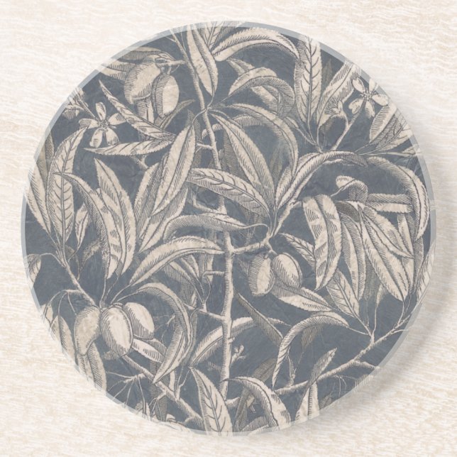 Vintage Fruit & Floral I Drink Coaster (Front)