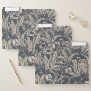 Vintage Fruit & Floral I File Folder
