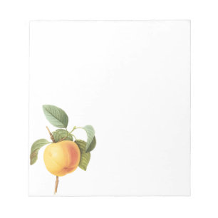 Vintage Fruit Food, Calville Apple by Redoute Notepad
