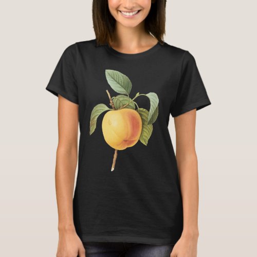 Vintage Fruit Food Calville Apple by Redoute T_Shirt