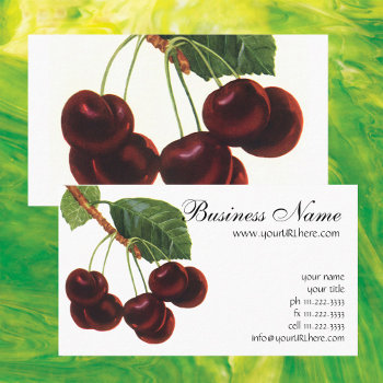 Vintage Fruit Foods  Ripe Cherries From A Tree Business Card by YesterdayCafe at Zazzle