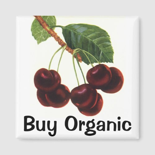 Vintage Fruit Foods Ripe Cherries from a Tree Magnet