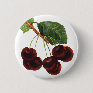Vintage Fruit Foods, Ripe Cherries from a Tree Pinback Button