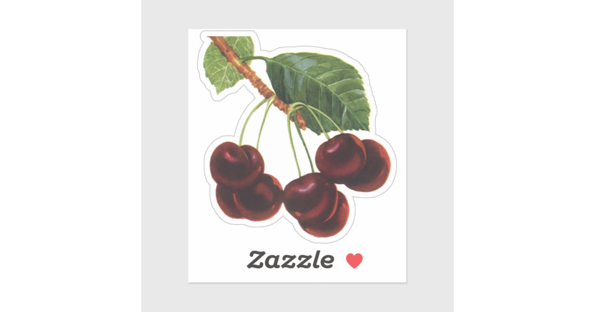 Vintage Fruit Foods, Ripe Cherries from a Tree Sticker | Zazzle