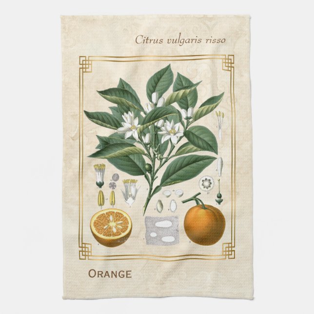 Vintage Fruit Illustration Orange Botanical Art Kitchen Towel (Vertical)