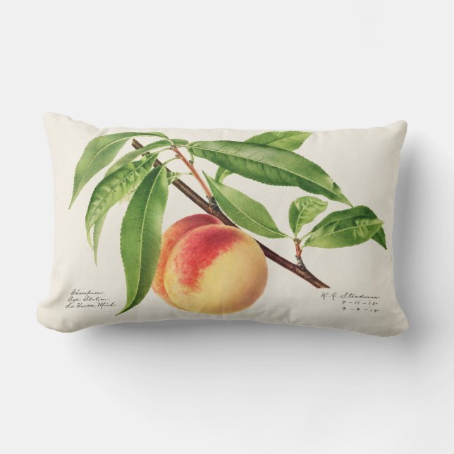 Vintage Fruit Lumbar Pillow (Front)