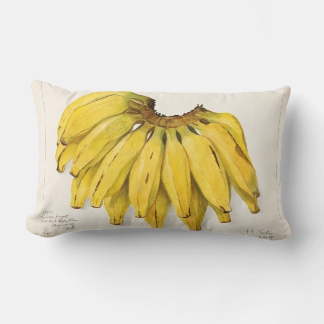 Vintage Fruit Lumbar Pillow (Front)