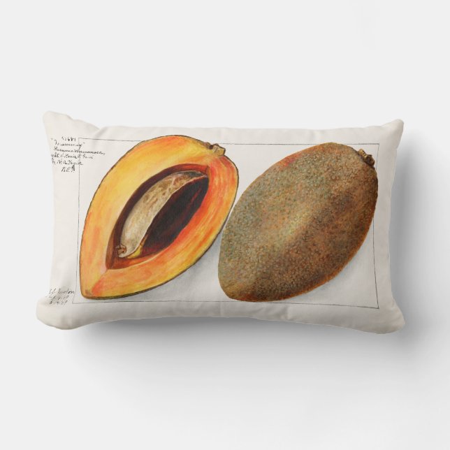 Vintage Fruit Lumbar Pillow (Front)