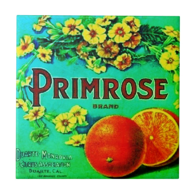 Vintage fruit orange advertisement label ceramic tile (Front)
