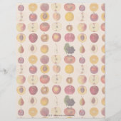 Vintage Fruit Pattern (Front)