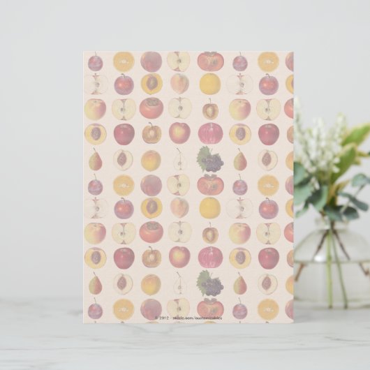 Vintage Fruit Pattern (Standing Front)