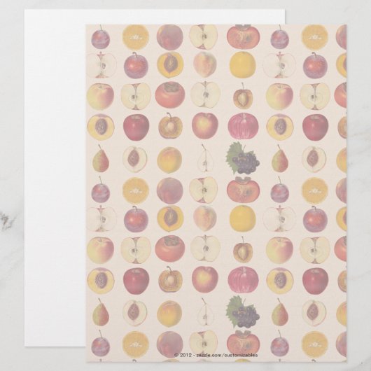 Vintage Fruit Pattern (Front/Back)