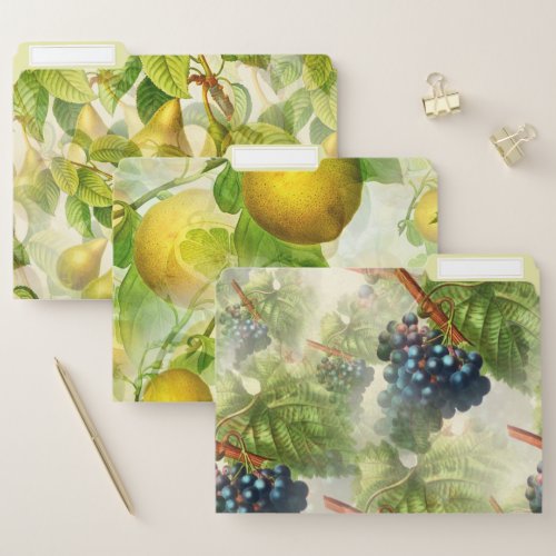 Vintage Fruit Patterns Decorative File Folder