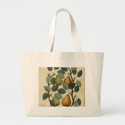 Vintage Fruit Pear Botanical Print Large Tote Bag