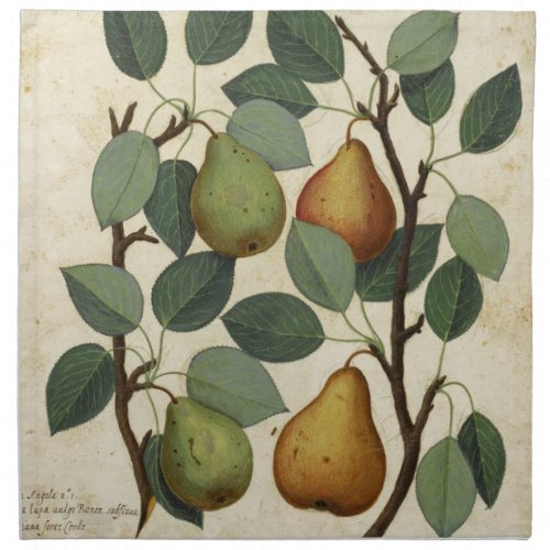 Vintage Fruit Pear Botanical Print Napkin