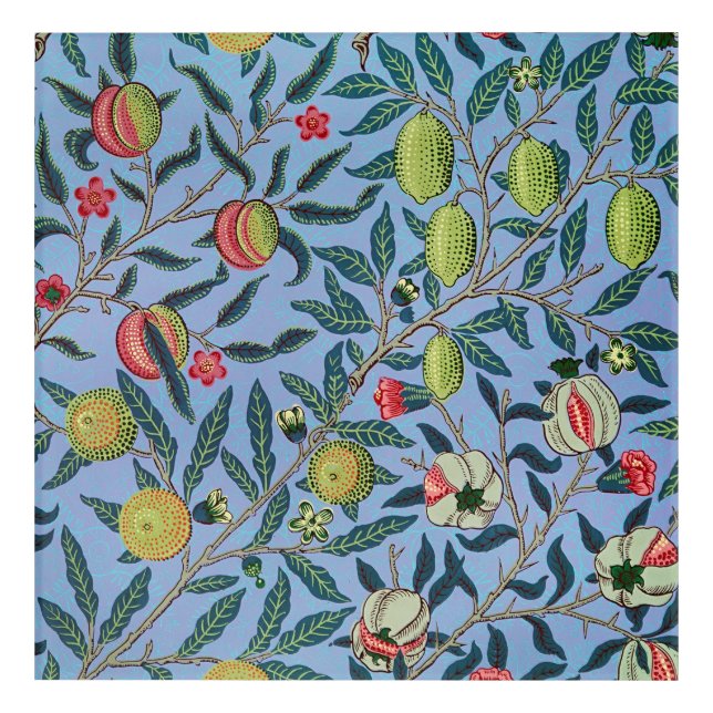 Vintage Fruit Pomegranate Ornament Illustration Acrylic Print (Front)