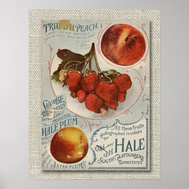 Vintage Fruit Seed Packet from the late 1800's Poster (Front)