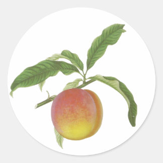 Vintage Fruit Stickers