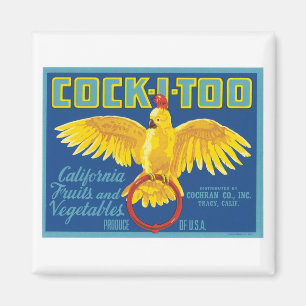 Vintage Fruits and Vegetables Food Product Label Magnet