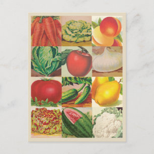 Vintage Fruits and Vegetables Illustrations Postcard