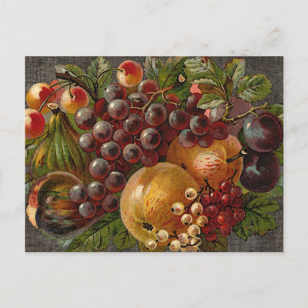 Vintage Fruits Harvest Thanksgiving Postcard | Zazzle