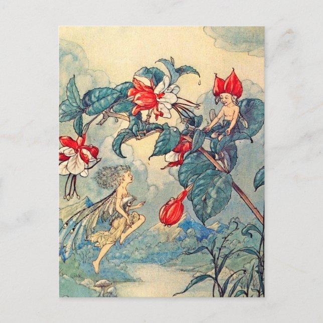 Vintage Fuchsia Fairies Postcard (Front)