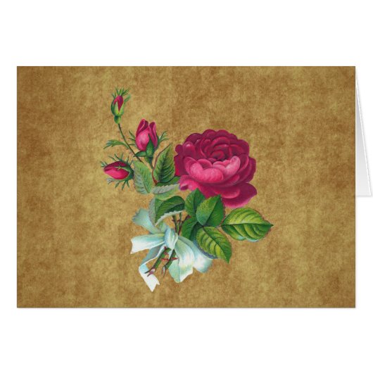 Vintage Fuchsia Rose Cards (Front Horizontal)