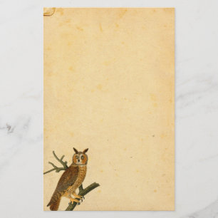 Vintage Fun-looking Owl Parchment Paper