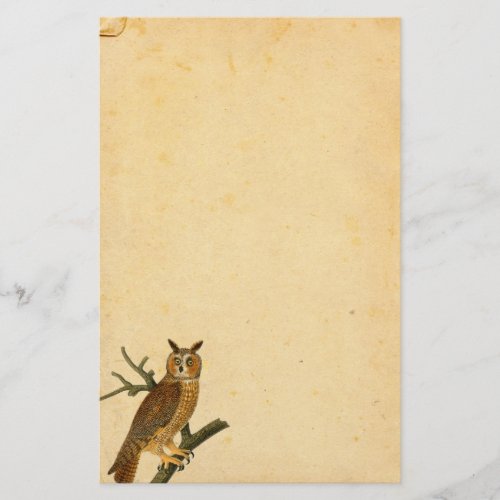 Vintage Fun_looking Owl Parchment Paper