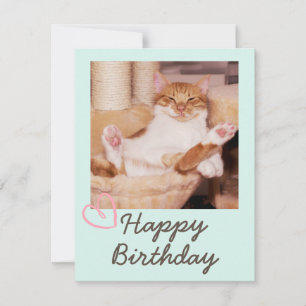 Vintage Funny Cat and Happy Birthday Card