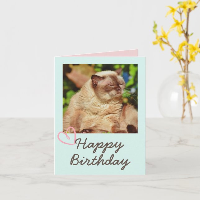 Vintage Funny Cat and Happy Birthday  Card (Yellow Flower)