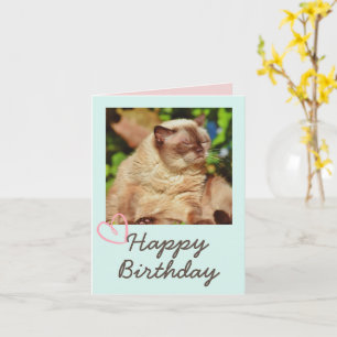Vintage Funny Cat and Happy Birthday Card