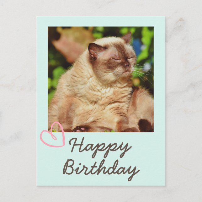 Vintage Funny Cat and Happy Birthday Postcard (Front)