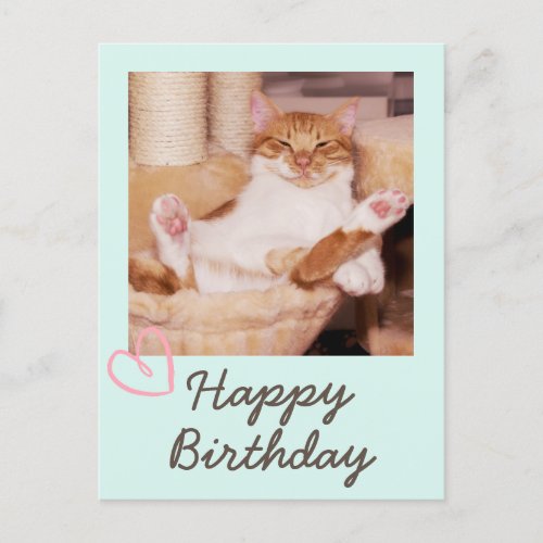 Vintage Funny Cat and Happy Birthday Postcard