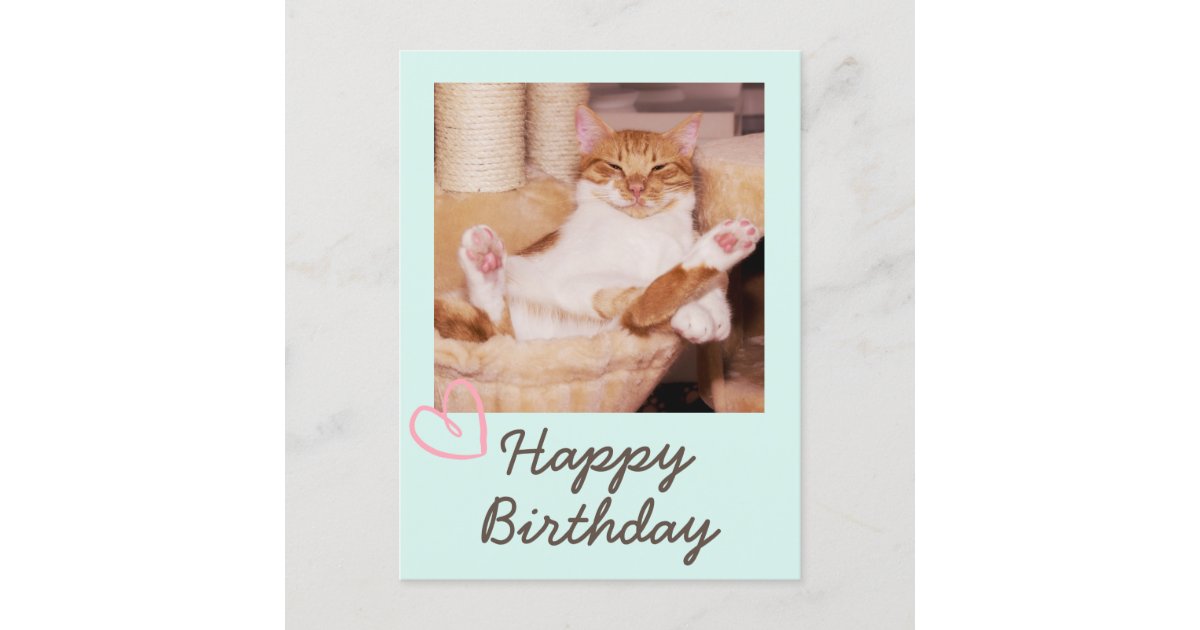 vintage happy birthday cat