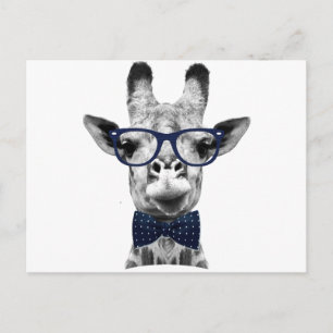 Vintage funny Giraffe Postcard