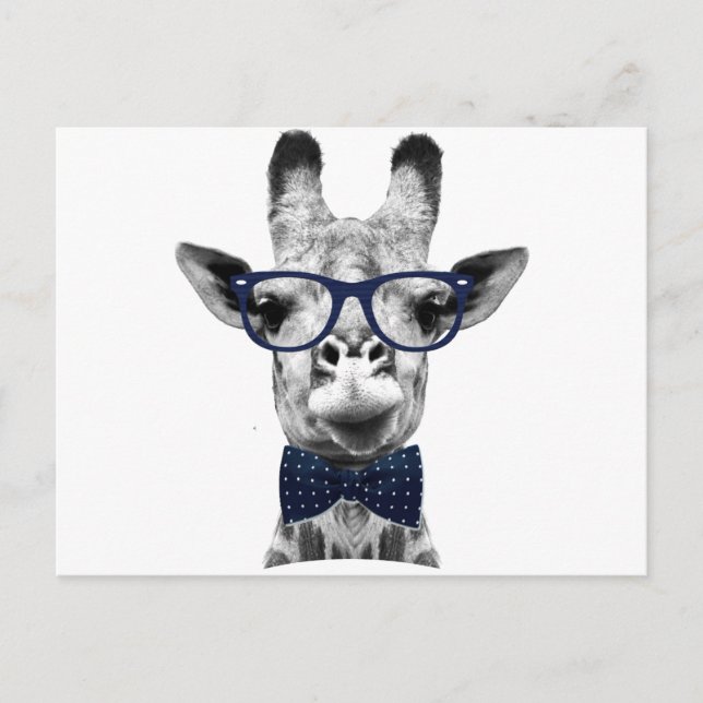 Vintage funny Giraffe Postcard (Front)