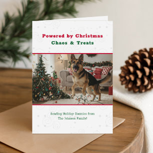 Vintage Funny Pet Dog Photo Christmas Folded Holiday Card