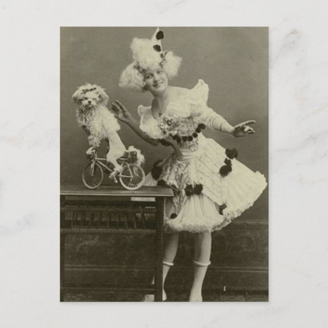 Vintage Funny Woman Dressed as Poodle Postcard (Front)