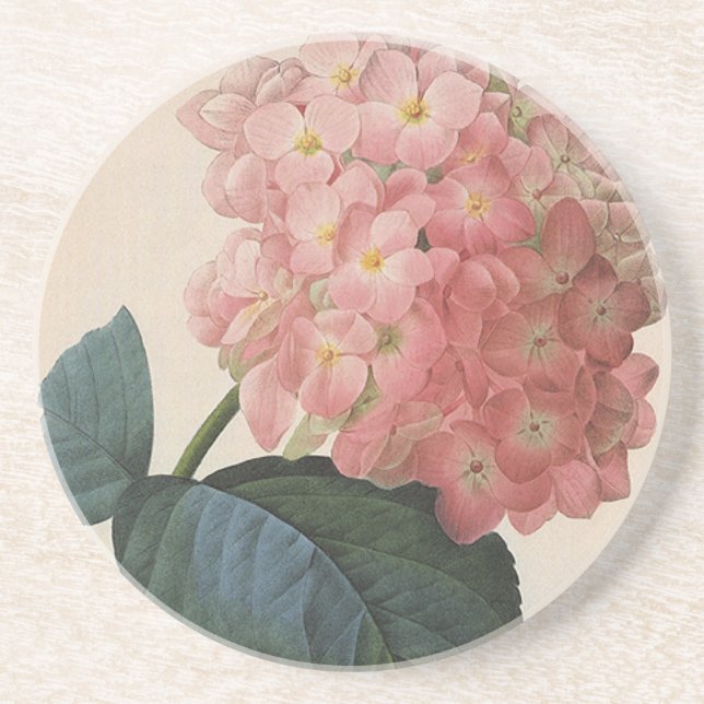 Vintage Garden Flowers, Pink Hydrangea Hortensia Coaster (Front)