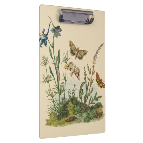 Vintage Garden Insects Butterflies Caterpillars Clipboard