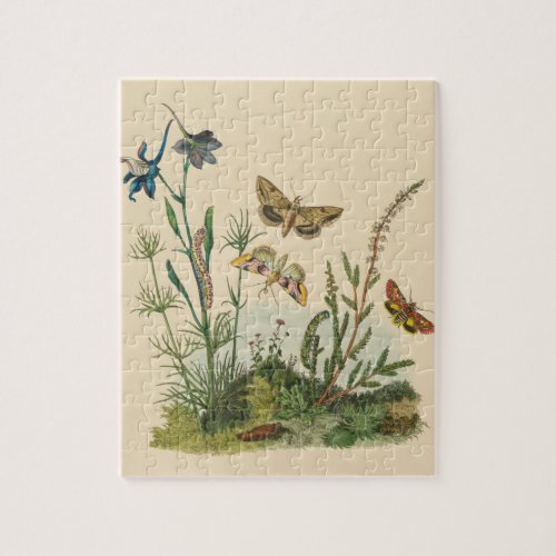 Vintage Garden Insects Butterflies Caterpillars Jigsaw Puzzle