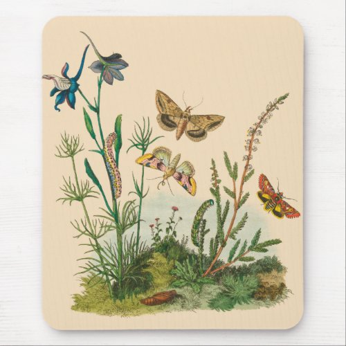 Vintage Garden Insects Butterflies Caterpillars Mouse Pad