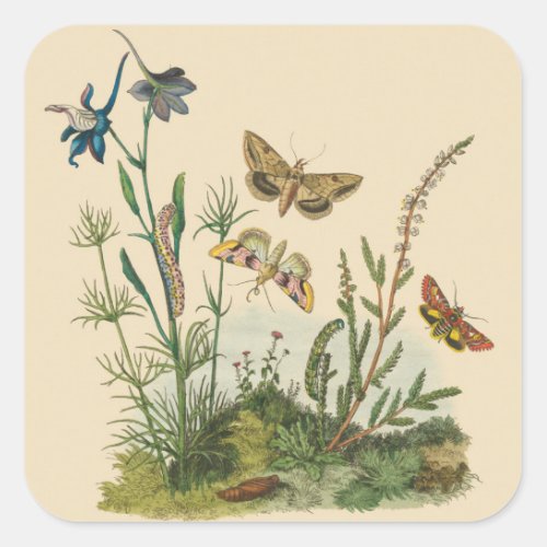 Vintage Garden Insects Butterflies Caterpillars Square Sticker