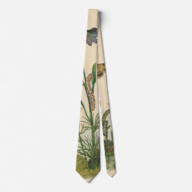 Vintage Garden Insects, Butterflies, Caterpillars Tie (Front)