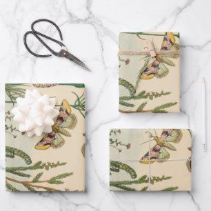 Vintage Garden Insects, Butterflies, Caterpillars Wrapping Paper Sheets