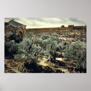 Vintage Garden of Gethsemane Jerusalem Israel Poster