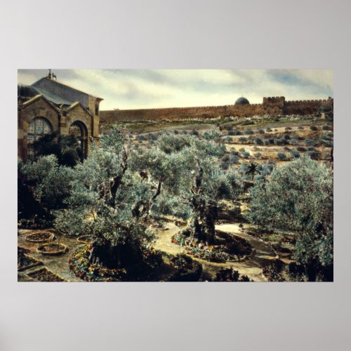 Vintage Garden of Gethsemane Jerusalem Israel Poster